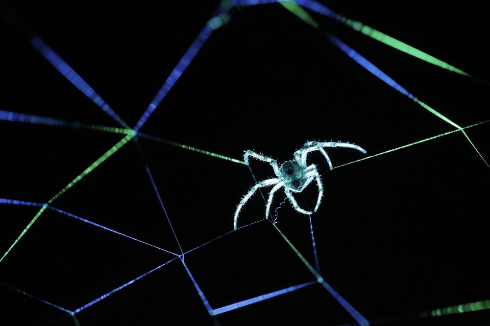 Photograph by Щепанов Дмитрий