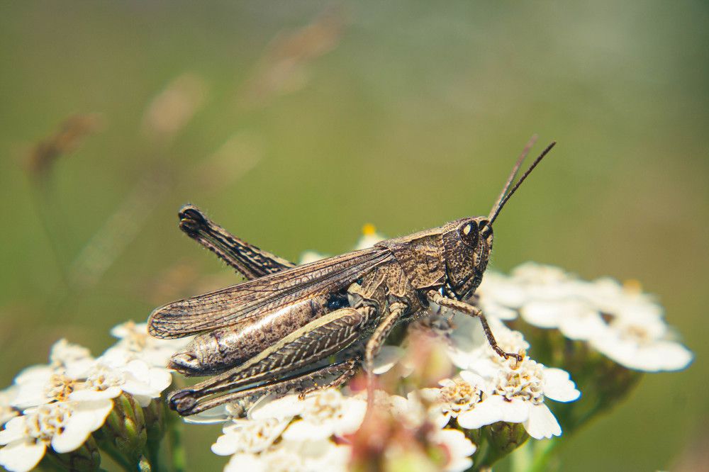 Фотография автора Ирина Гриценко
