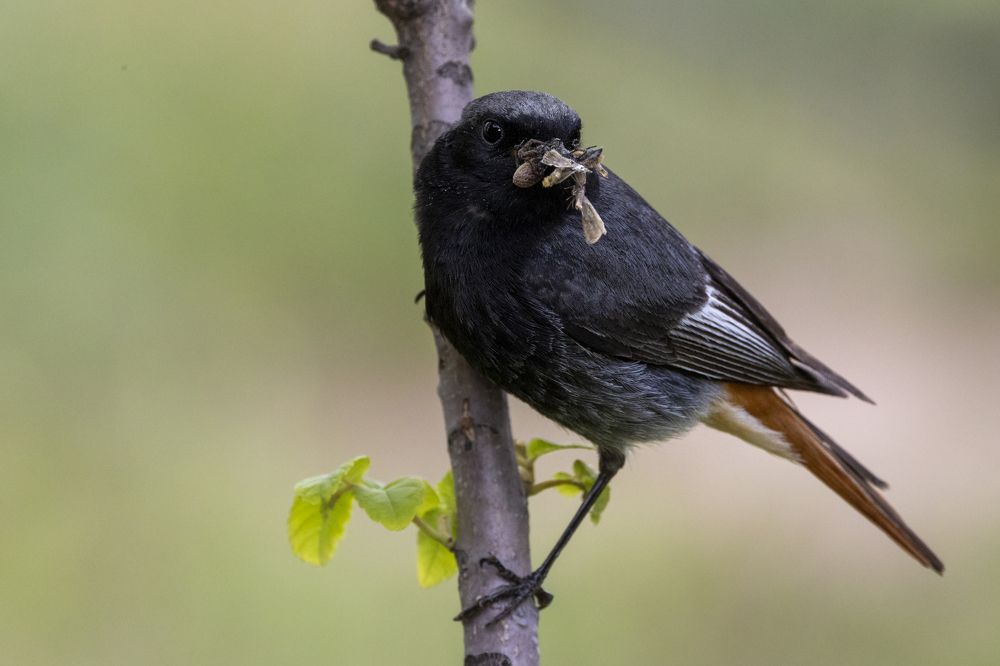 Photograph by Щепанов Дмитрий