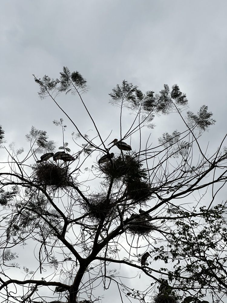 Photograph by Юлия