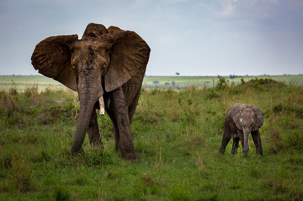 Photograph by Александр Горшенин
