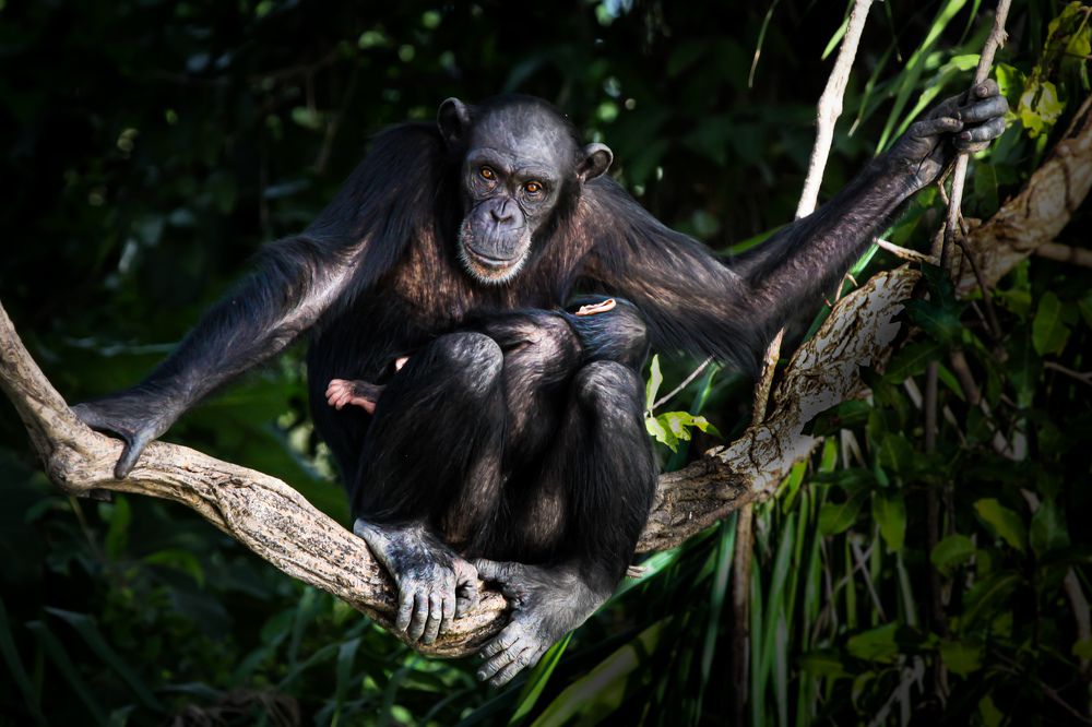 Photograph by Александр Горшенин