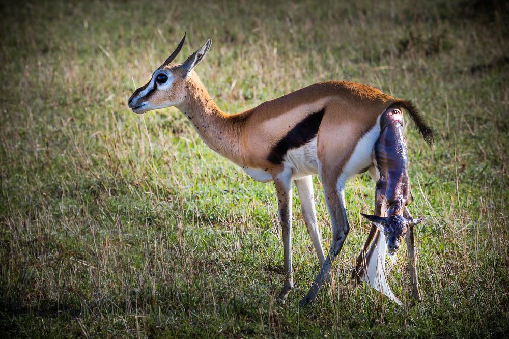 Photograph by Александр Горшенин