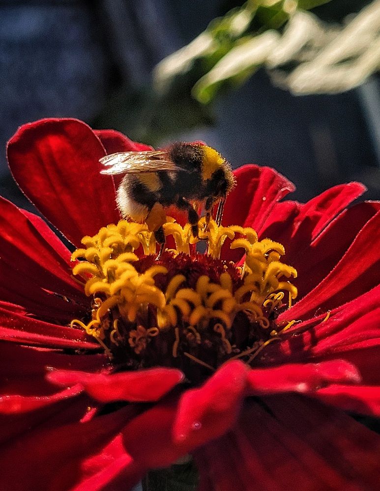 Photograph by Елена Иванова