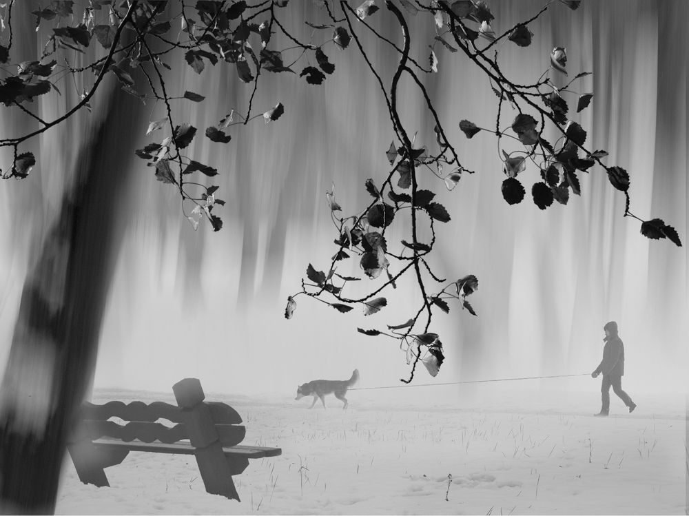 Photograph by T. Bondarenko