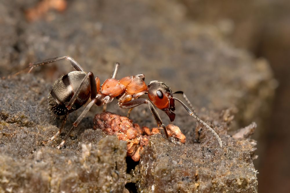 Photograph by Viktor Makarov