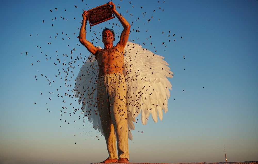 Фотография автора Aigars Jansons