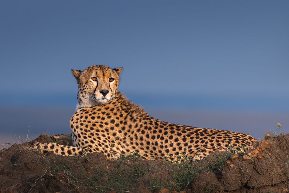 Photograph by Jayakumar MN