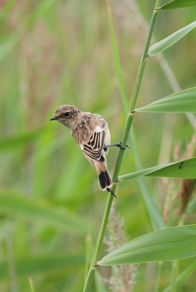 Photograph by Вася Кадочников