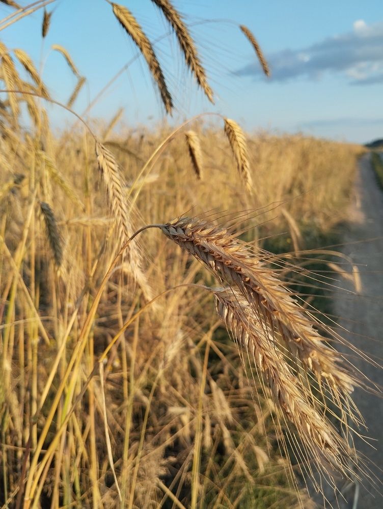 Photograph by Ксения Лебедева