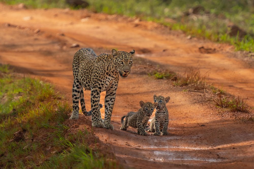 Photograph by Siddharth Gopalam