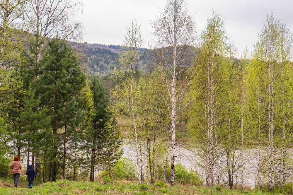 Photograph by Александр Пургин