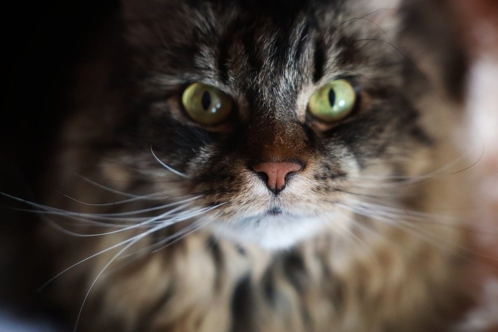 Photograph by Ксения Санникова