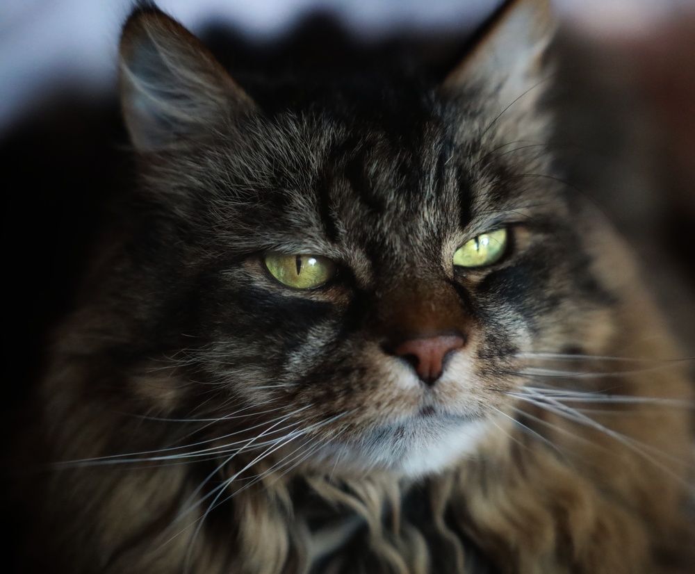 Photograph by Ксения Санникова