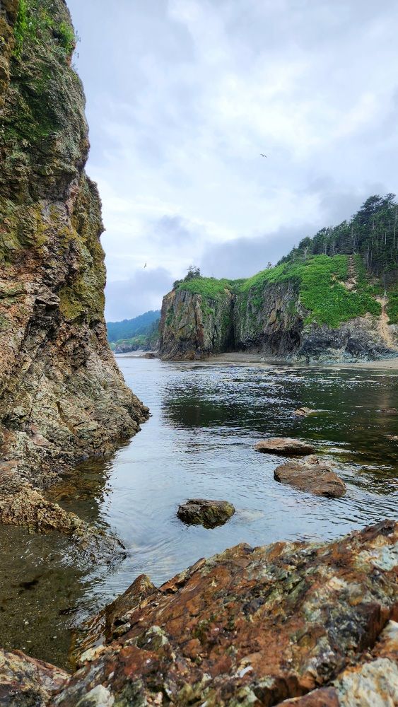 Photograph by Валентина