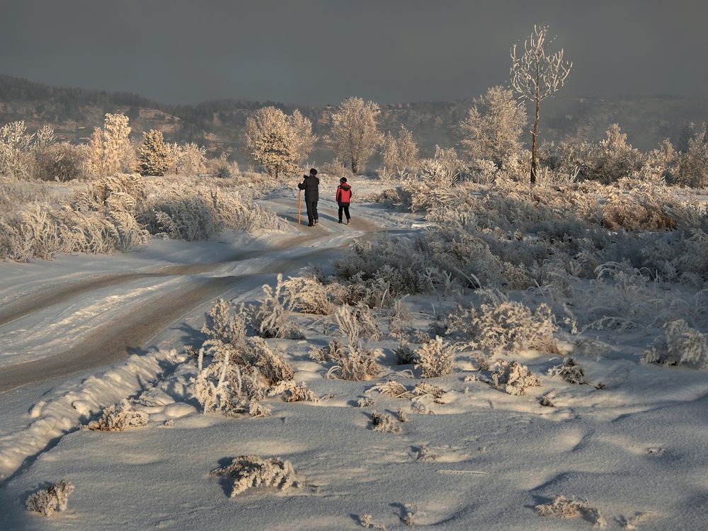 Photograph by Александр Попов