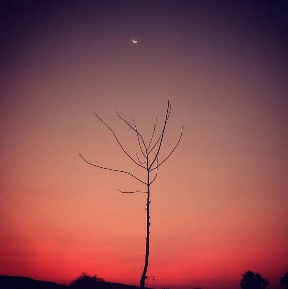 Photograph by S.Pavithra