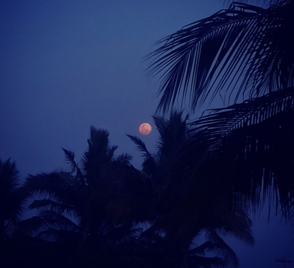 Photograph by S.Pavithra