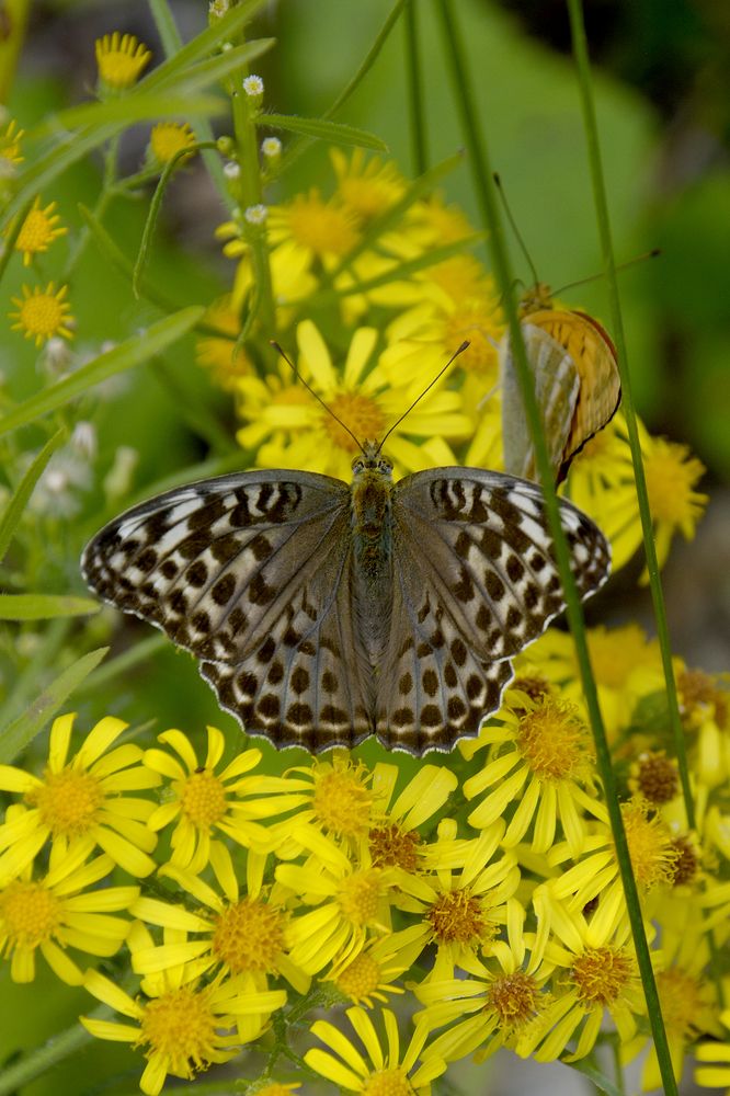 Photograph by Дмитрий Петренко