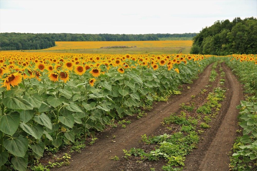 Photograph by Марина Юрченко