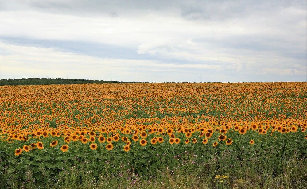 Photograph by Марина Юрченко