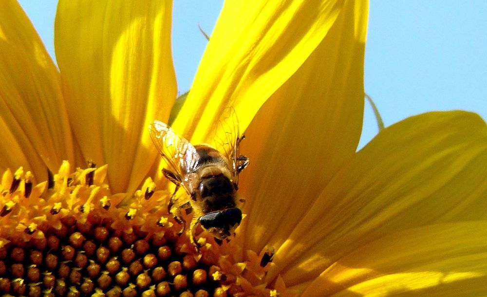 Photograph by натапов леонид