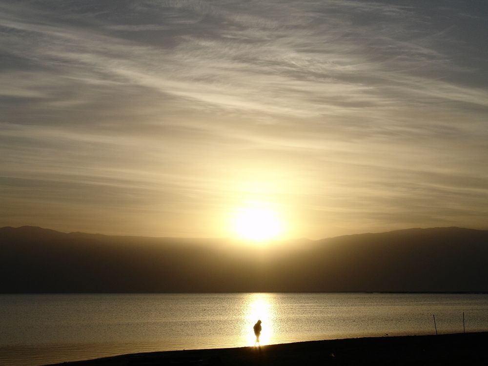 Фотография автора Ася Бабушкина