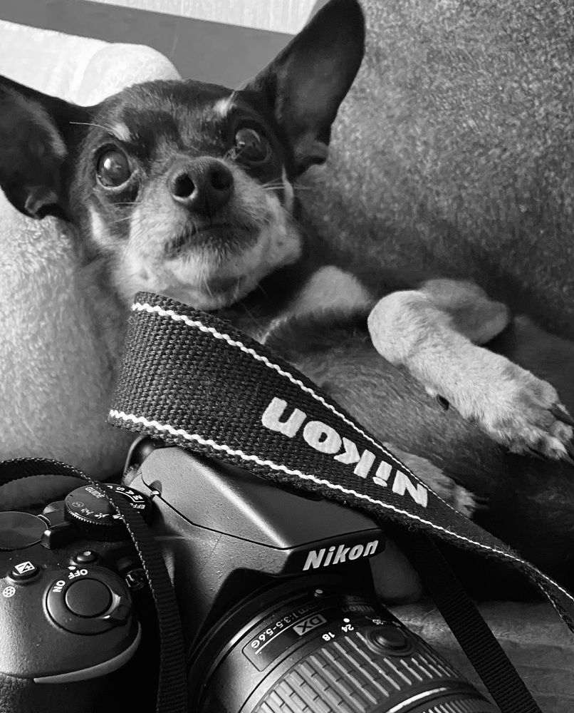 Photograph by Наталья Ситова