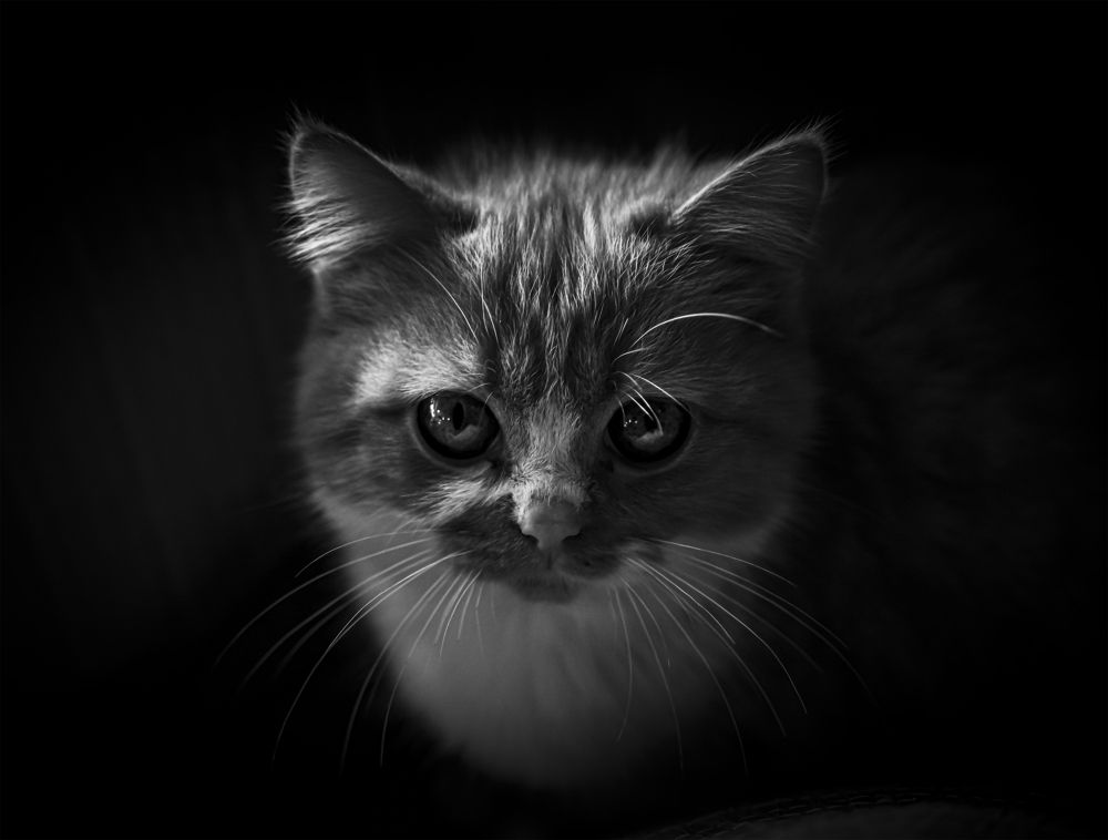 Photograph by Do Thi Thanh Binh