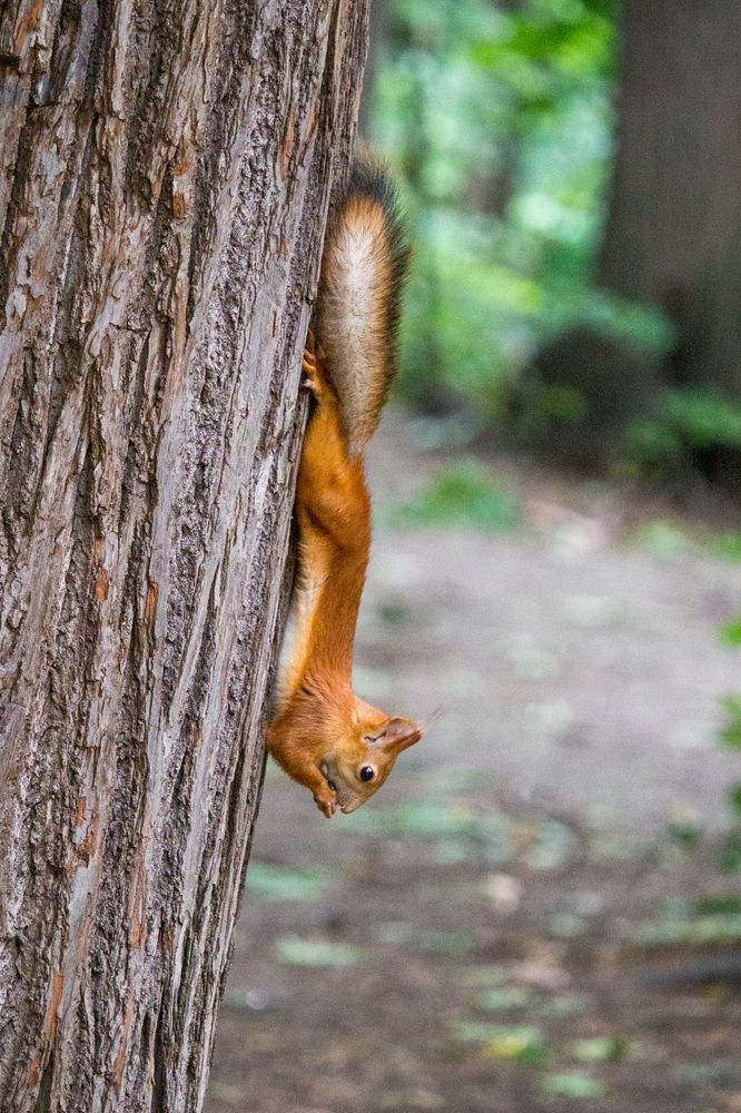 Photograph by Татьяна Штунь