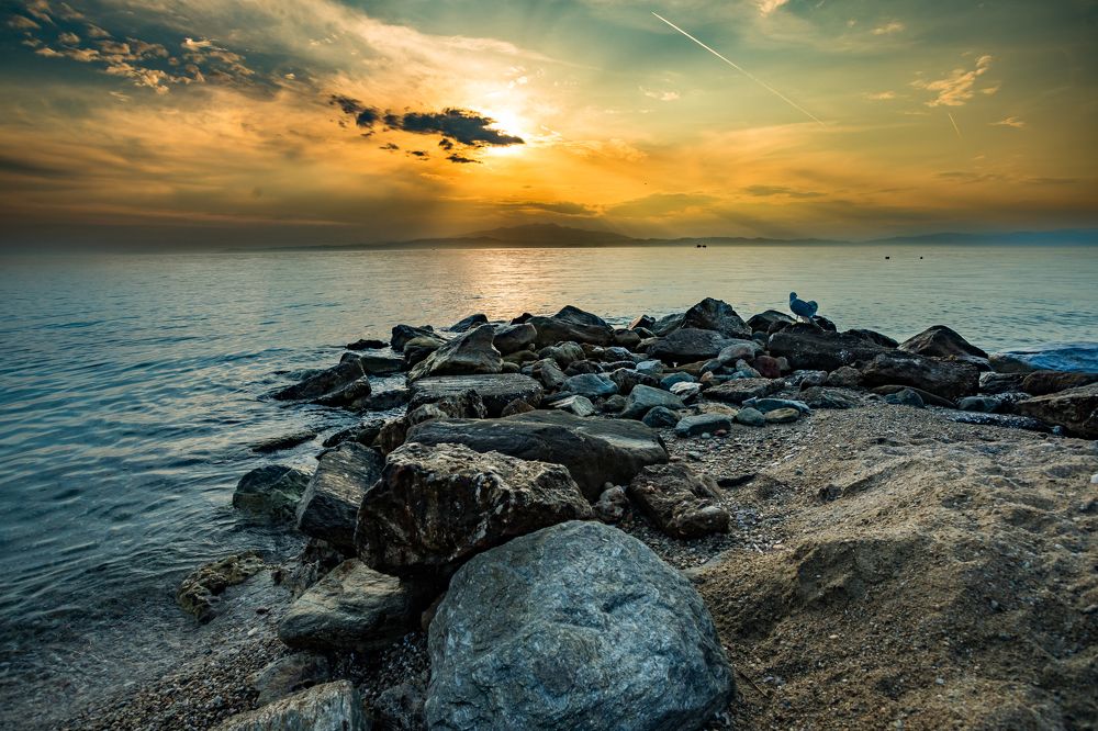 Фотография автора COMSA BOGDAN