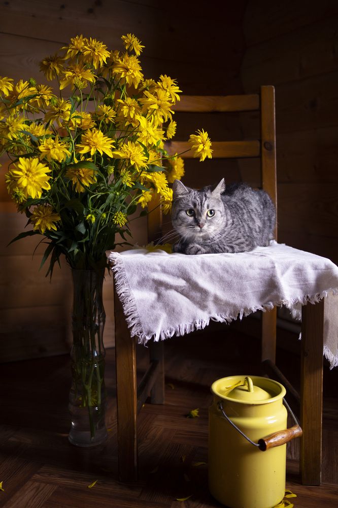 Photograph by Динара Рамилевна