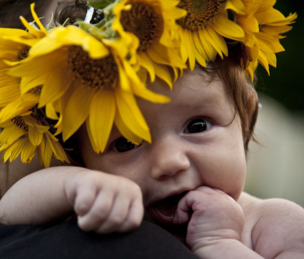 Photograph by Tatiana Troitskaya