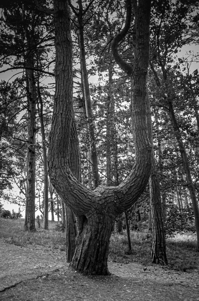 Photograph by Алекскандр Фатеев