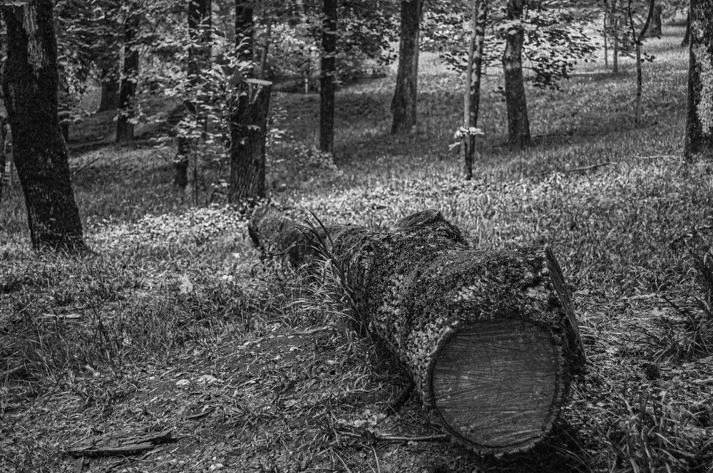 Photograph by Алекскандр Фатеев