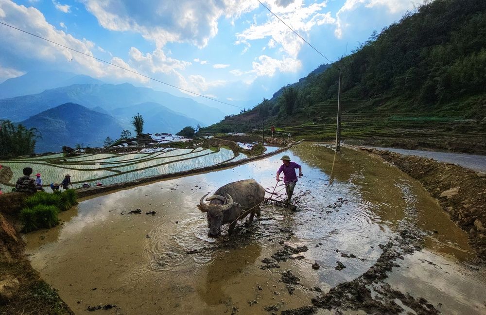 Photograph by Do Thi Thanh Binh