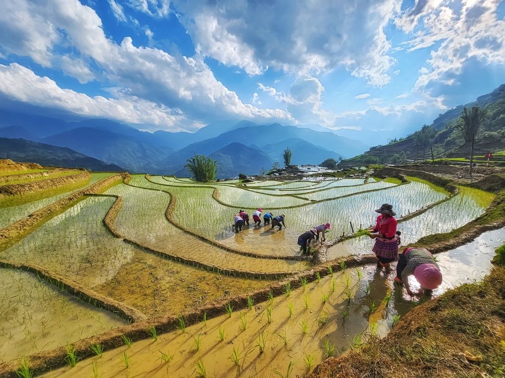 Photograph by Do Thi Thanh Binh