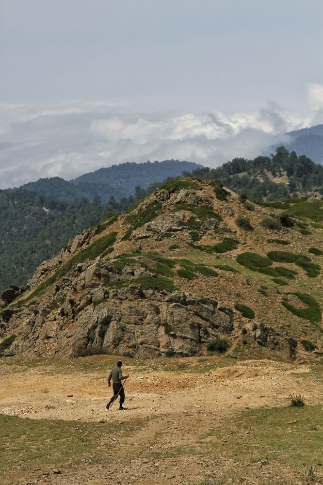 Photograph by mokhalad albu mohamad