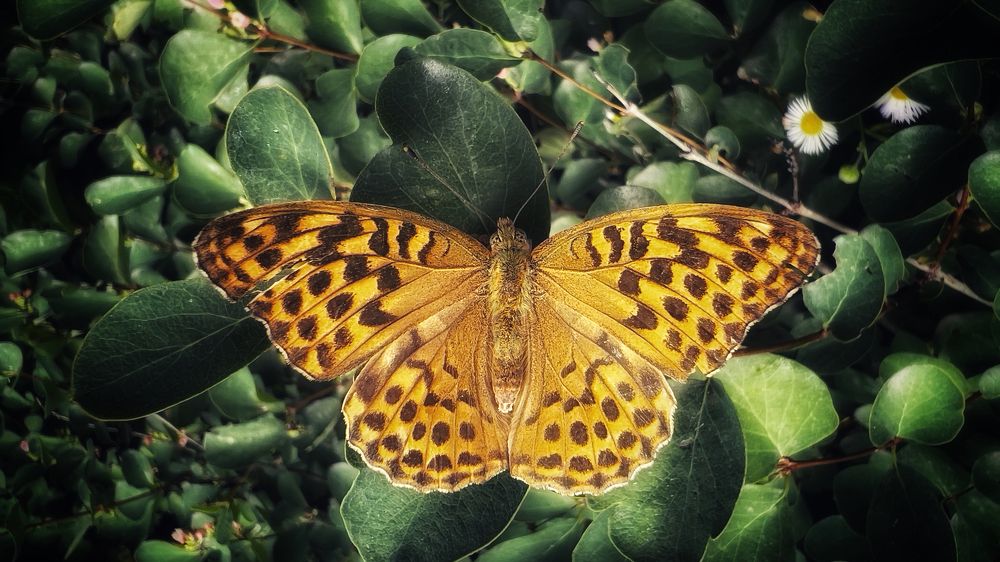 Photograph by Swetlana Lebedev