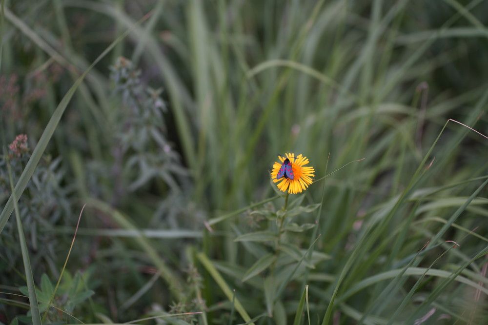 Photograph by Ольга Рачилова