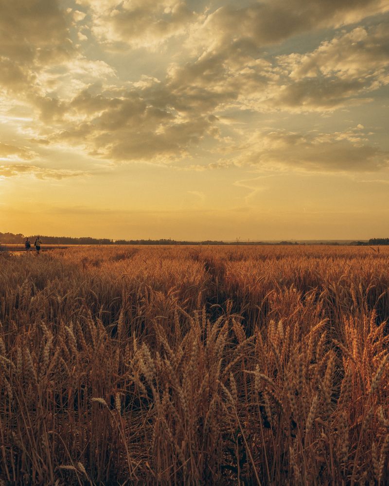 Photograph by Татьяна Александрова