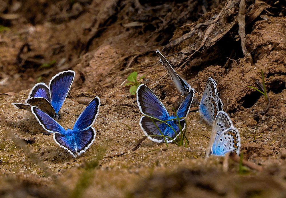 Photograph by Игорь Смирнов