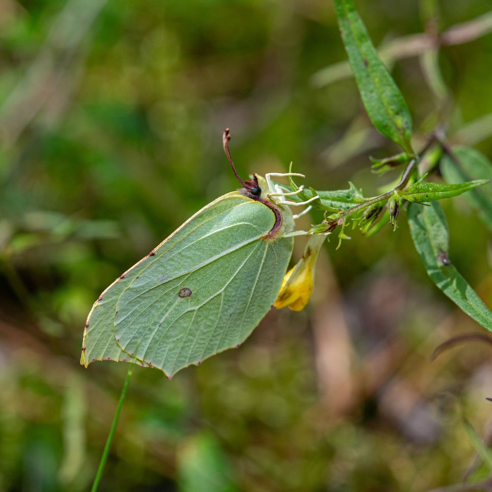 Photograph by Dmitriy Konstantinov