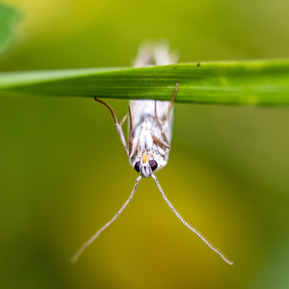 Photograph by Dmitriy Konstantinov