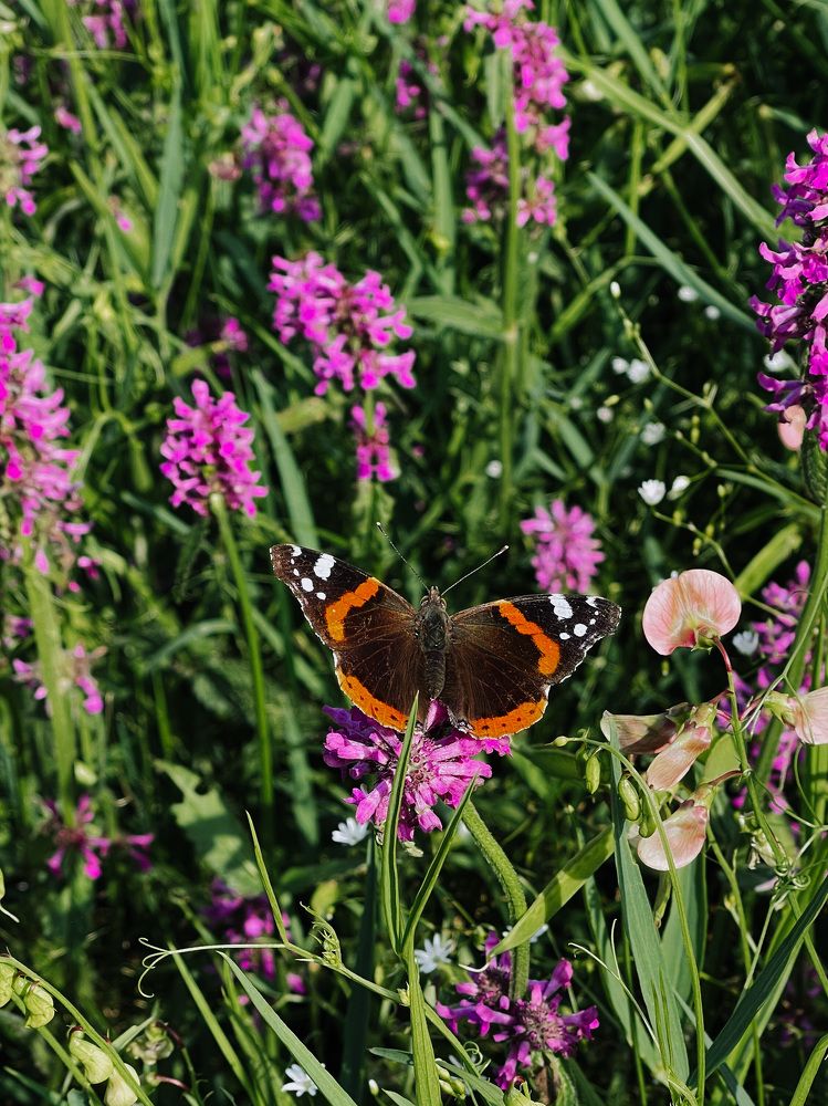 Photograph by Олена Уманцева