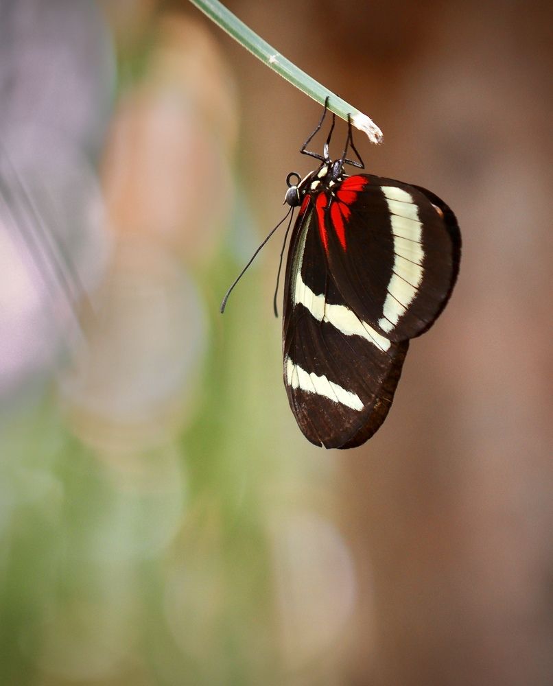 Photograph by Малика Маткарим