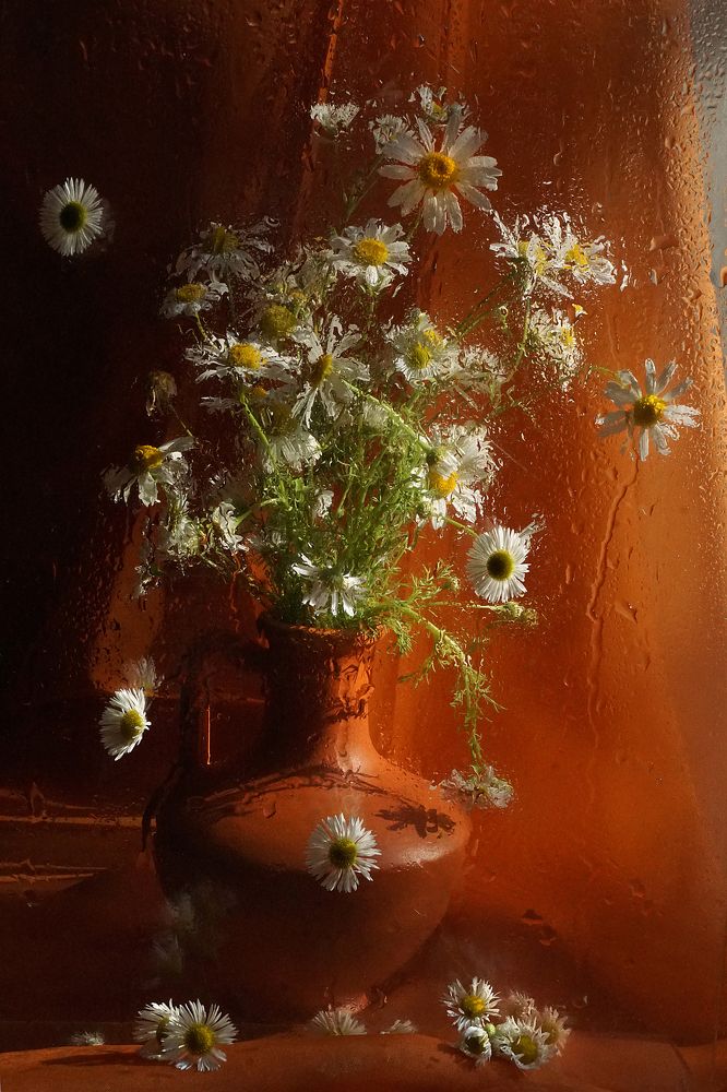 Photograph by Ольга Пуховникова