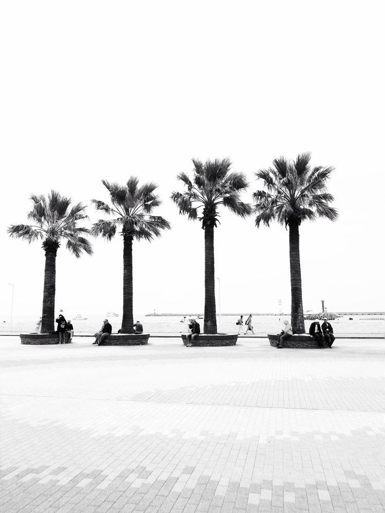 Photograph by Людмила Евстратова