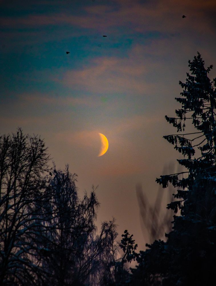 Photograph by Ольга Сафронова