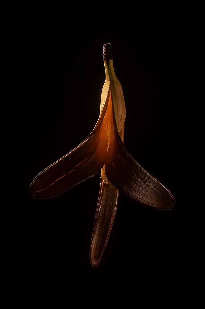 Происхождение мира